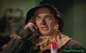 Scarecrow Wizard of Oz Quotes http://www.wizardofozpictures.com ...