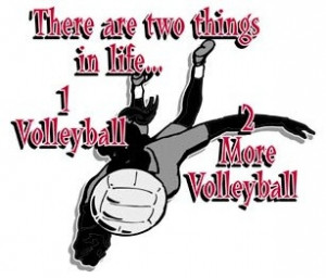repinned this because volleyball is one of the two sports I enjoy.