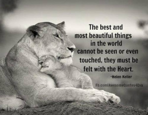 Most popular tags for this image include: beautiful, heart, love, text ...