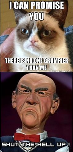 walter jeff dunham great comedian more grumpycat funny ads ads funny ...