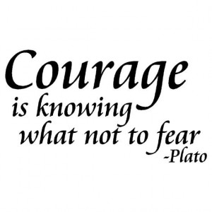 Plato, quotes, sayings, courage, best, meaning