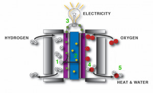 Fuel Cell : Next Generation of Electrical Power