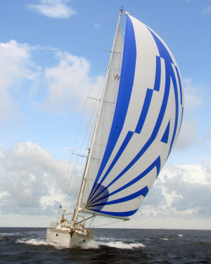 APC (Asymmetric Power Cruiser)