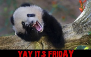 Happy Panda says “Yay it’s Friday”