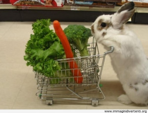 Coniglio in shopping immaginidivertenti.org