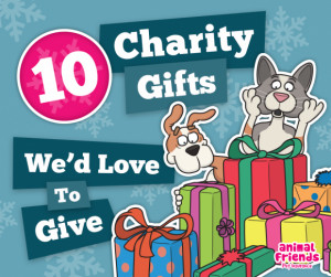 10 Charity Gifts We’d Love to Give