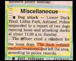 The ducks refused medical treatment and left the area