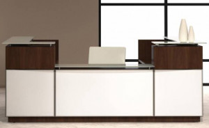 0215 - Reception Desk