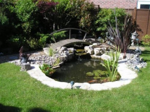 ... garden pond then you ve come to the right place cultiv 8 tree garden