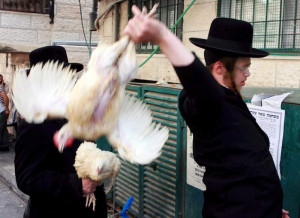 Partij voor de Dieren misleidt over ritueel slachten - Foto EPA