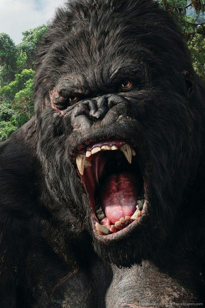 Related Pictures king kong wallpaper 0015