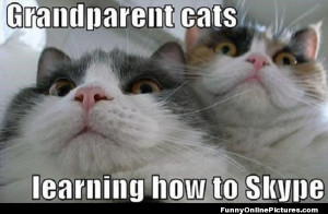 Funny meme picture of grandparent cats trying to learn how to Skype.