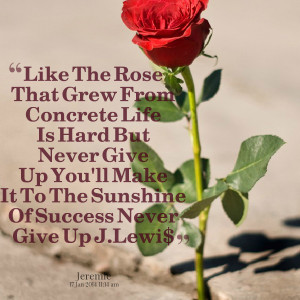 Quotes Picture: like the rose that grew from concrete life is hard but ...