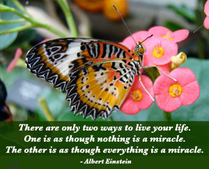 quotes i have selected and inspirational sayings i have authored