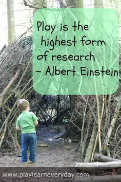 Play & Learn Everyday: Play Based Learning quote from Albert Einstein ...
