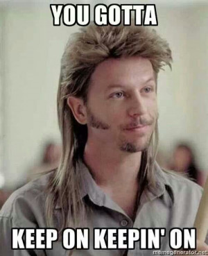 Joe dirt