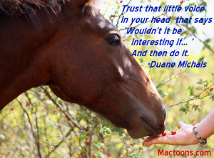 Trust and Believe: Feeding Horse With Trust