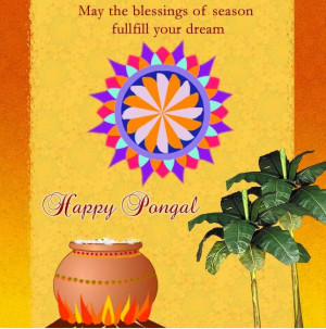 Pongal SMS Quotes 2015 in Tamil Wallpapers