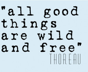 Life Quote Henry David Thoreau