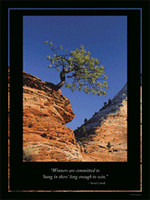 The Values of Excellence