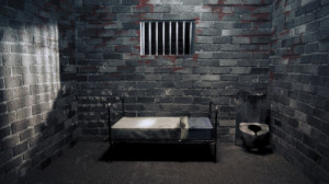 The horrible psychology of solitary confinement