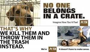 PeTA | Cruel, Crazy, Beautiful World4000