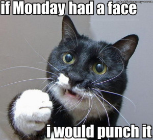 Share these and help everyone start out their Monday with a laugh, a ...