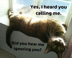 If you enjoyed this, check out our Funny LOLcat Gallery