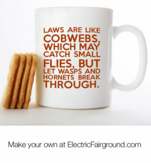 ... catch small flies, but let wasps and hornets break through. White Mug