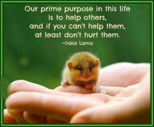 Our prime purpose in this life is to help others, And if you can't ...