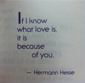 Cute quotes good sayings hermann hesse