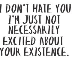 ... Just Not Necessarily Excited about your Existence ~ Enemy Quote
