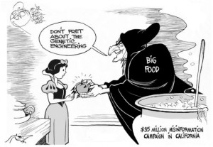 Huff ~ Monsanto-Funded ‘No On 37′ Campaign Fabricates FDA Quote ...