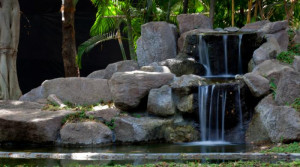 Osho Osho On Topics God