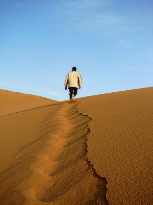 Desert Leader by Hamed Saber
