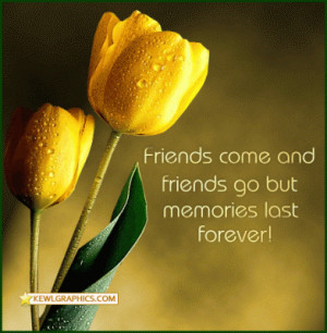 Friends come and Friends Go Yellow Tulips Facebook Graphic
