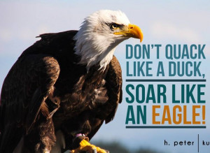 Don’t quack like a duck – Soar like an eagle