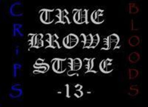 True Brown Style TBS 13 Philippines