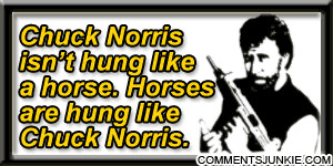Chuck Norris Comments