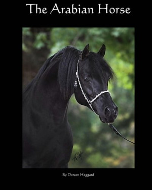 Arabian Horse Sayings http://www.quotestemple.com/Quotes/arabian ...