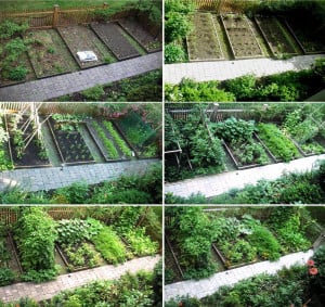 Vegetable Garden Layout Plans Quotes Download Wallpaper Vegetable ...