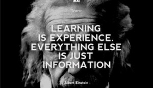 Albert Einstein Quotes - Learning is experience. Everything else is ...