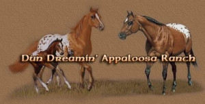 Dun Dreamin Appaloosa Ranch