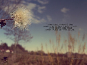 Word of the day- Dandelion