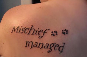 think this is an overdone quote but i like the pawprints with it ...