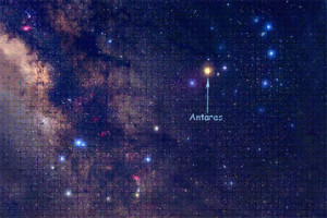 Antares+star+future