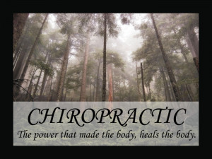 Chiropractic Quotes Epigrams and Sayings Posters
