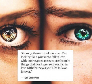 ... their eyes and youll be in love forever, beautiful ed sheeran quote