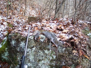 Is squirrel hunting with a 22LR ethical??