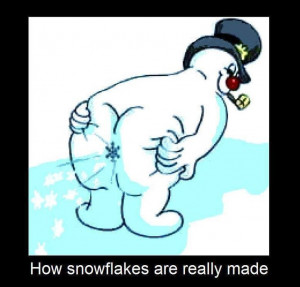 how snowflakes are really made